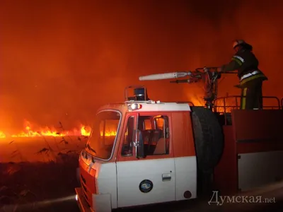 Страшные лесные пожары бушуют по всему миру - фото - 02.08.2019, Sputnik  Грузия