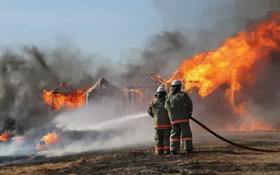 Тушение Лесного Пожара Пожарный Тушит Пожар Тушение Пожара Заполните Пену  Огнем Решительные Пожарные — стоковые фотографии и другие картинки Пена -  iStock