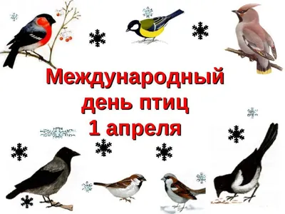 Русский традиционный праздник Maslenitsa Возвращение перелётных птиц Символ  русской недели блинчика праздника Прибытие Иллюстрация вектора -  иллюстрации насчитывающей тучно, культура: 109808823