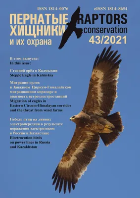 Raptors Conservation 43/2021 by Igor Karyakin - Issuu