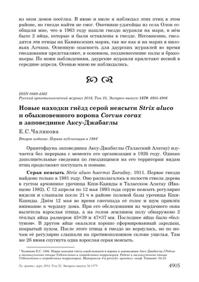 Пластичность мозга. Потрясающие факты о том, как мысли способны менять  структуру и функции - купить психология и саморазвитие в  интернет-магазинах, цены на Мегамаркет | 978-5-04-102170-2