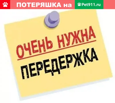 Международные жесты рукой о помощи при домашнем насилии: Что значат сигналы  - KP.RU