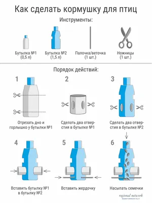 Голубь: описание повадок птицы, характер, рацион питания, виды, фото и видео