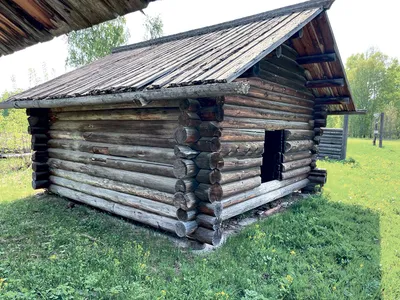 Папка для документов Феникс + Птицы полипропилен, А4, 31x23.5x1.7 см, 1  отделение, внутренний карман-уголок, карман на лицевой стороне, зажим,  УФ-печать 48301 - выгодная цена, отзывы, характеристики, фото - купить в  Москве и РФ