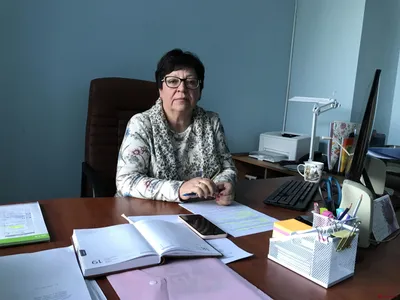 Папка для документов Феникс + Птицы полипропилен, А4, 31x23.5x1.7 см, 1  отделение, внутренний карман-уголок, карман на лицевой стороне, зажим,  УФ-печать 48301 - выгодная цена, отзывы, характеристики, фото - купить в  Москве и РФ