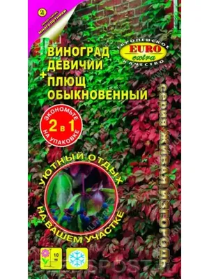 Сказочные чудовища и мифические существа славянской мифологии (Фото) -  Телеграф