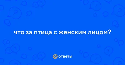 tania_al — птицы — LiveJournal