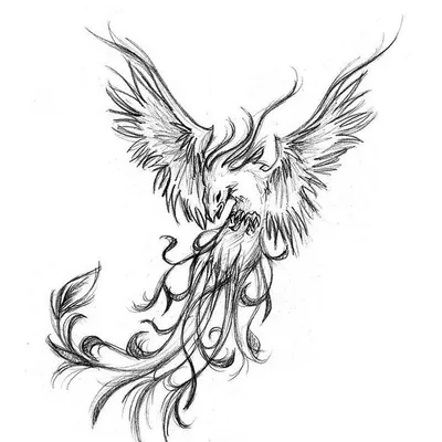 Тату птица феникс значение для девушек: что скрывает в себе феникс |  Tatuaje de fénix, Tatuajes de aves fenix, Fotos de ave fenix