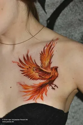Таинственное значение тату феникс для девушек | tattoo-sketches.com | Дзен