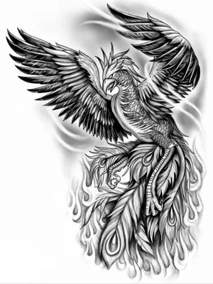 Тату феникс на ноге для девушек (с большим количеством фотографий) -  inkedink.ru