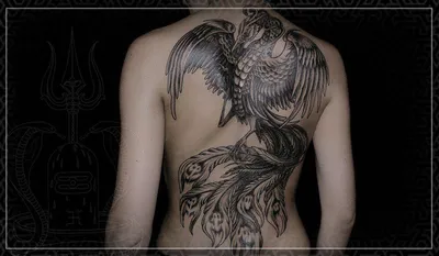 тату эскизы \"Феникс\" - VeAn Tattoo
