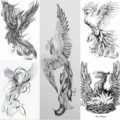 Эскизы Татуировки Феникс ☛ https://tattoo-ideas.ru #тату #татуфеникс  #татудлядевушек #татудлямужчин… | Japanese phoenix tattoo, Phoenix bird  tattoos, Phoenix tattoo