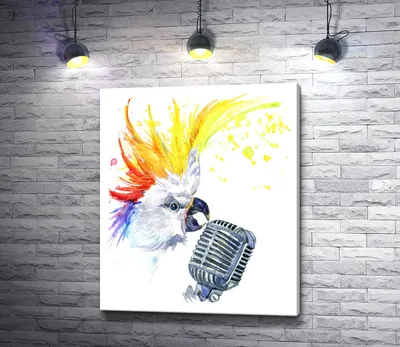 Два Roosters Петь В Микрофон Изолированные На Белом — стоковые фотографии и  другие картинки Петь - iStock