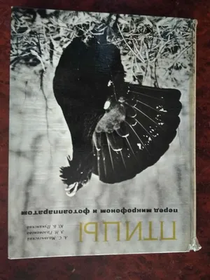 Мальчевский А.С. Голованова Э.Н. Пукинский Ю.Б. Птицы перед микрофоном и  фотоаппаратом (б/у). (ID#236778704), цена: 345 ₴, купить на Prom.ua