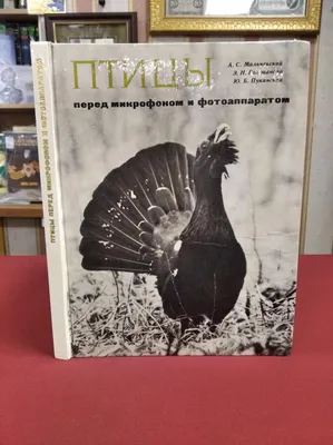Купить Светящийся музыкальный микрофон-палочка Фламинго оптом - Kalibri.top