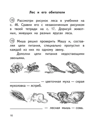 Деньги для покойного брата. Мистика | Птица - муха | Дзен