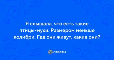 Личинки мух вполне заменяют рыбную муку в рационе птиц | ИА Красная Весна