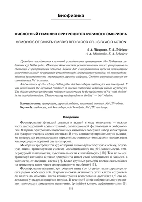 Клематис Сизая Птица ? купить с доставкой почтой по РФ, СДЭК курьер, ПВЗ,  цены и фото