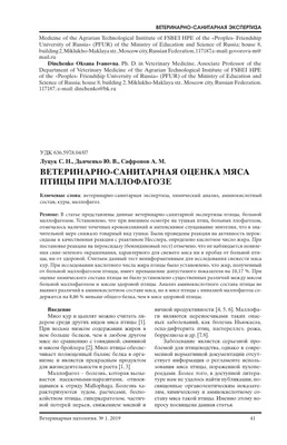 Стая птиц летает над водой, яркие …» — создано в Шедевруме