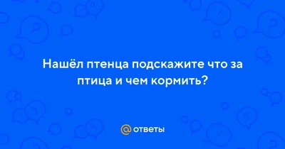 Картинки на тему #гнездо - в Шедевруме