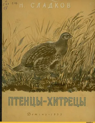 Путешествие через море и обратно с ласточками | Папмамбук