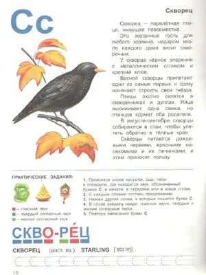 https://dzen.ru/a/YLyZBH-Z0zNPYnQD
