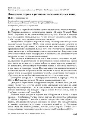Что делать, если нашли птенца? + 15 милейших фото птенчиков | PetZona -  канал о животных | Дзен