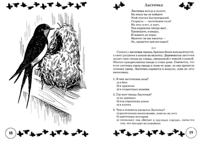 Птичьи гнезда - Записки Натуралиста | Некоммерческий учебно-познавательный  интернет-портал Зоогалактика