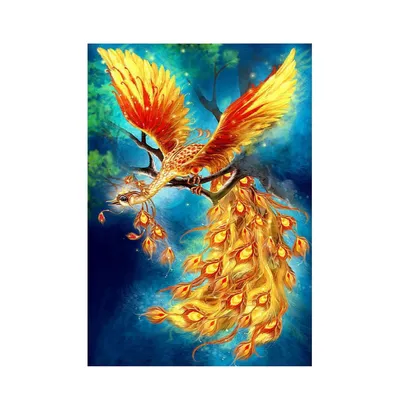 Купить картина по номерам красками, 40*50 см, GX1689 Жар-птица, цены на  Мегамаркет | Артикул: 600003680291
