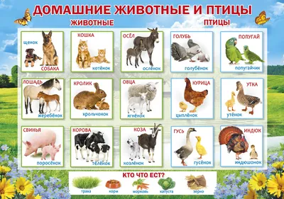 Фотокартина - мама тигр и детеныш тигренок