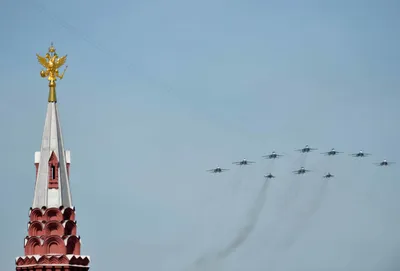 Birds of Moscow area (Птицы Москвы и Московской области). Фотограф Михаил  Ездаков