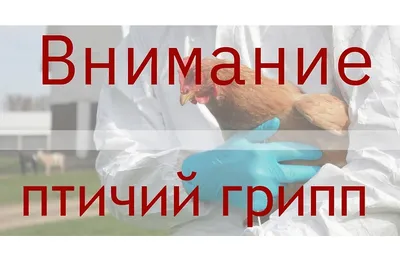 Птицы Московской области
