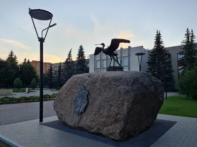 Перелетные птицы покидают леса Подмосковья - В регионе - РИАМО в Реутове