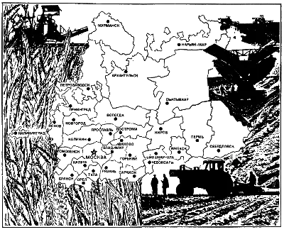 Сосновая мухоловка - картинки и фото poknok.art