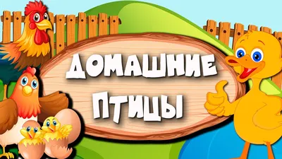 SVG - кекс животное птица мультфильм рисунок сова милые природа скачать  бесплатно | SVGX
