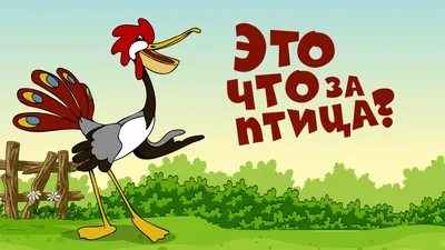 Пеликан птица мультфильм Pelican_031 3d файл рельеф арткам купить, цена в  Екатеринбурге