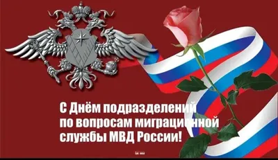 Новая» назвала имя человека с фотографии с сотней убитых на Чукотке птиц —  РБК