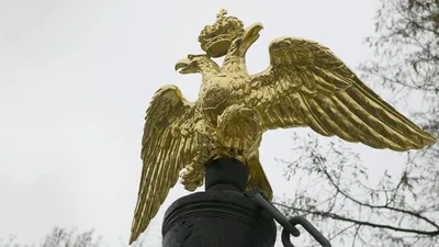 https://www. / Питер :: Воробей :: Россия :: птицы :: будь осторожен ::  бдительность :: страны / смешные картинки и другие приколы: комиксы, гиф  анимация, видео, лучший интеллектуальный юмор.