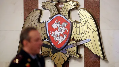 Следователь полиции Уфы передала в ветклинику дикую сову, получившую травму  в городской застройке
