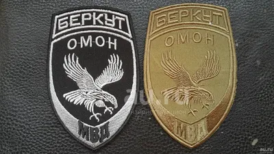 Играет в мячик и предсказывает погоду: ярославец приручил грача. Теперь  птица ревнует его к жене | 30.11.2023 | Ярославль - БезФормата