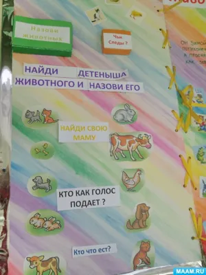 Начался курортный сезон: полицейские забрали животных и птиц у  фотоживодеров в Анапе и Архипо-Осиповке (фото) | Югополис