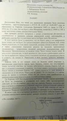 Желна из семейства дятлов поселилась в ЦПКиО на Елагином в Петербурге - 13  февраля 2023 - Фонтанка.Ру