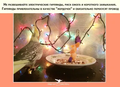 Почему птиц, сидящих на проводах, не убивает током