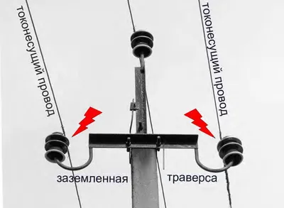 Голуби сидят на высотном электрическом проводе. птицы на лэп. спокойный  голубь на проводе электричества. | Премиум Фото