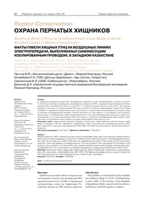 Почему птицу на проводе ЛЭП не бьет током? А человека будет  бить?#энерголикбез - YouTube