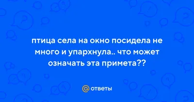 Почти закрыли небо»: воронежцев впечатлила огромная стая птиц —  Интернет-канал «TV Губерния»