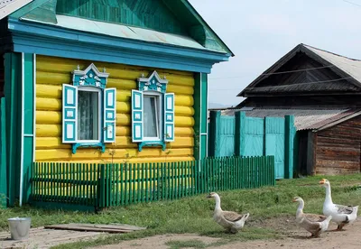 Синица: приметы о птице, которая привлекает успех и счастье – Новости  Салехарда и ЯНАО – Вести. Ямал. Актуальные новости Ямала