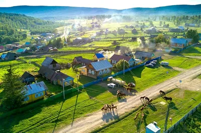 Купить яйцо куриное Село зеленое Элитное СВ 6 шт, цены на Мегамаркет |  Артикул: 100028184975