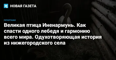 Фотоотчет «День села». (15 фото). Воспитателям детских садов, школьным  учителям и педагогам - Маам.ру