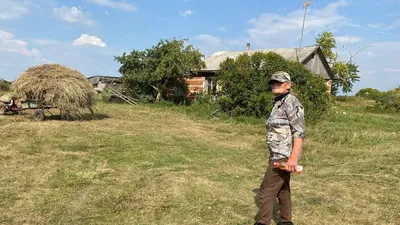 Примета: синичка на окне — к чему прилетела и заглядывает в окно с улицы?
